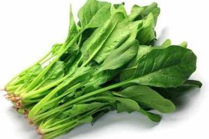 Những loại rau củ này giúp “hạ huyết áp tự nhiên” được bác sĩ khuyên dùng