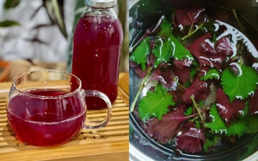 Uống nước lá tía tô thêm 2 thứ này: Chống lão hóa, trẻ lâu, sống thọ