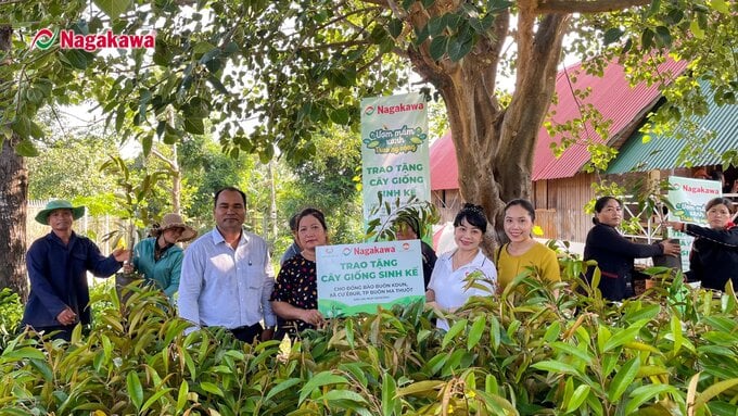Nagakawa tặng hàng nghìn cây giống cho đồng bào Đắk Lắk